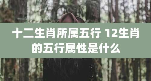 十二生肖所属五行 12生肖的五行属性是什么