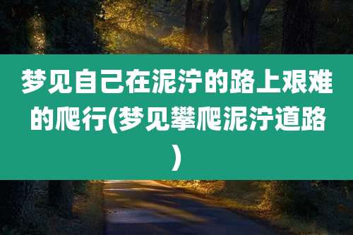 梦见自己在泥泞的路上艰难的爬行(梦见攀爬泥泞道路)