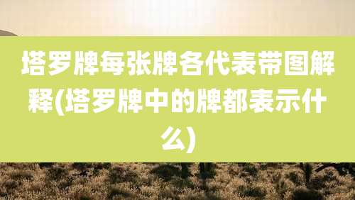 塔罗牌每张牌各代表带图解释(塔罗牌中的牌都表示什么)