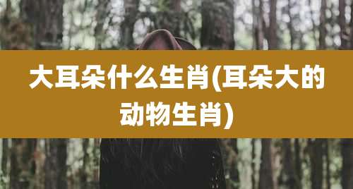 大耳朵什么生肖(耳朵大的动物生肖)