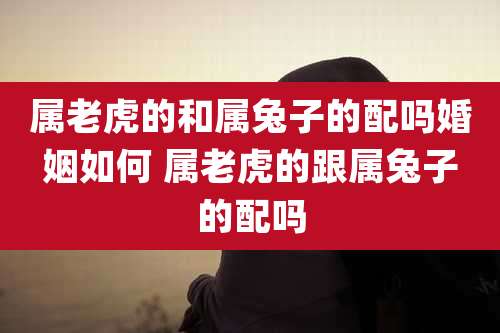 属老虎的和属兔子的配吗婚姻如何 属老虎的跟属兔子的配吗