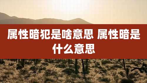 属性暗犯是啥意思 属性暗是什么意思
