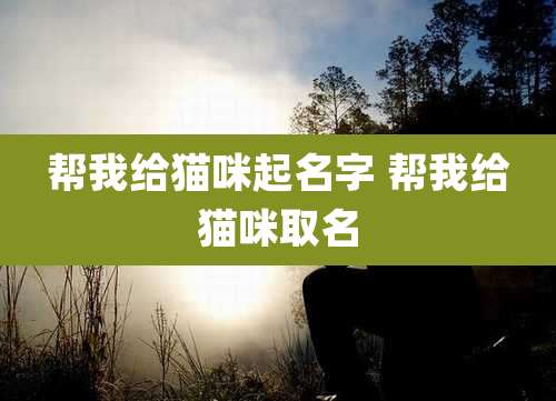 帮我给猫咪起名字 帮我给猫咪取名