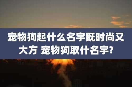 宠物狗起什么名字既时尚又大方 宠物狗取什名字?