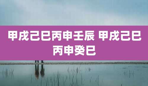 甲戌己巳丙申壬辰 甲戌己巳丙申癸巳