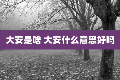 大安是啥 大安什么意思好吗