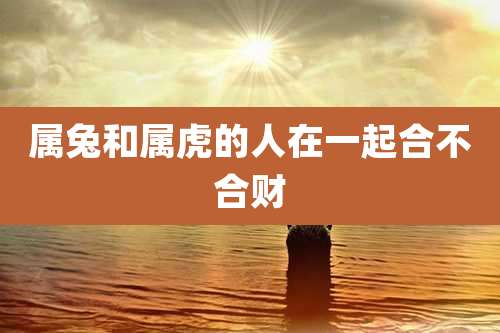属兔和属虎的人在一起合不合财