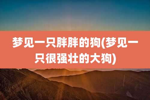 梦见一只胖胖的狗(梦见一只很强壮的大狗)