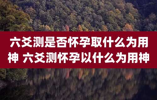 六爻测是否怀孕取什么为用神 六爻测怀孕以什么为用神