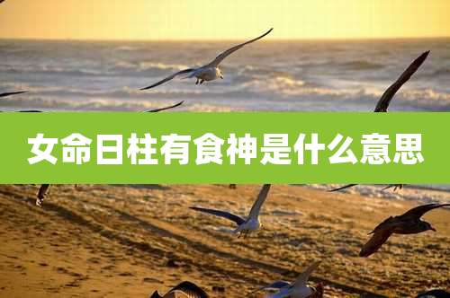 女命日柱有食神是什么意思
