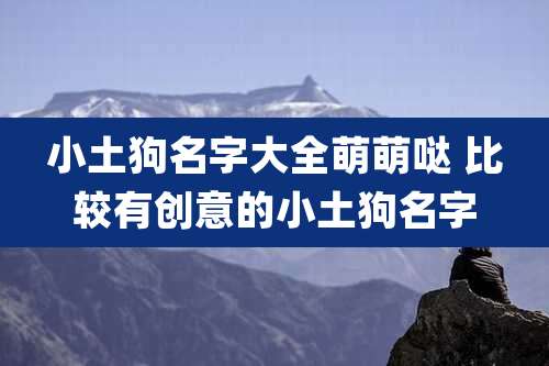 小土狗名字大全萌萌哒 比较有创意的小土狗名字