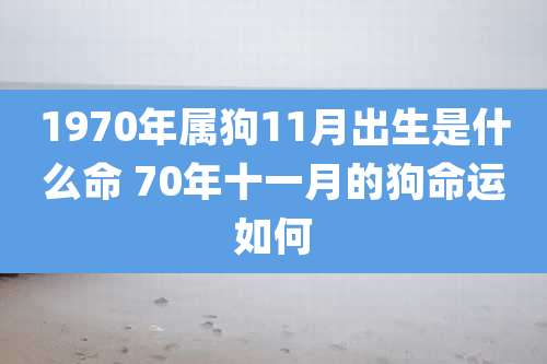 1970年属狗11月出生是什么命 70年十一月的狗命运如何