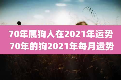70年属狗人在2021年运势 70年的狗2021年每月运势