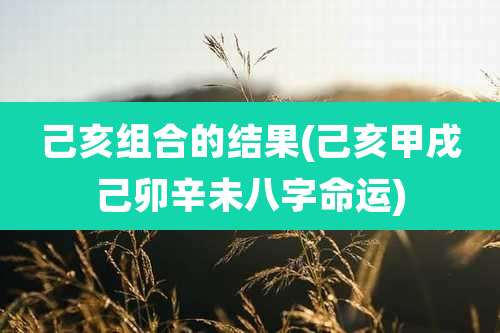 己亥组合的结果(己亥甲戌己卯辛未八字命运)