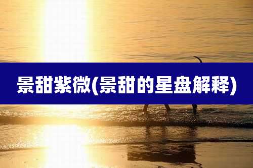 景甜紫微(景甜的星盘解释)