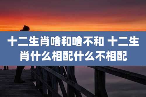 十二生肖啥和啥不和 十二生肖什么相配什么不相配