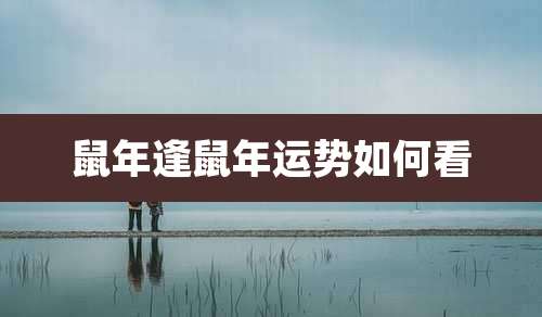 鼠年逢鼠年运势如何看