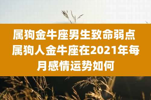 属狗金牛座男生致命弱点 属狗人金牛座在2021年每月感情运势如何