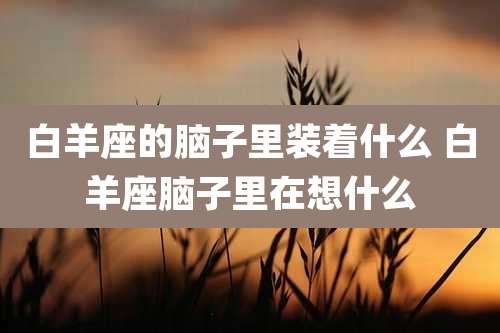 白羊座的脑子里装着什么 白羊座脑子里在想什么
