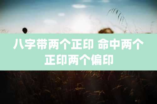 八字带两个正印 命中两个正印两个偏印