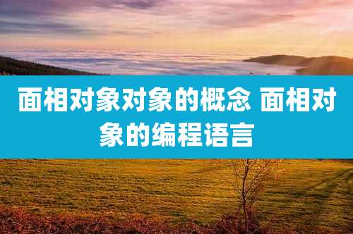 面相对象对象的概念 面相对象的编程语言