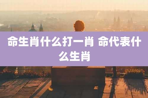 命生肖什么打一肖 命代表什么生肖