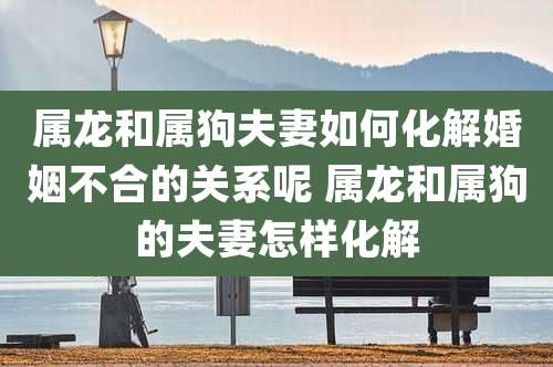属龙和属狗夫妻如何化解婚姻不合的关系呢 属龙和属狗的夫妻怎样化解