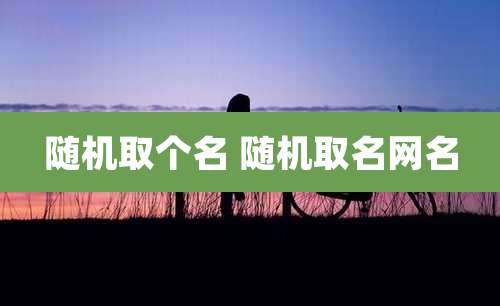 随机取个名 随机取名网名