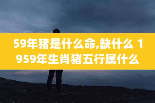 59年猪是什么命,缺什么 1959年生肖猪五行属什么