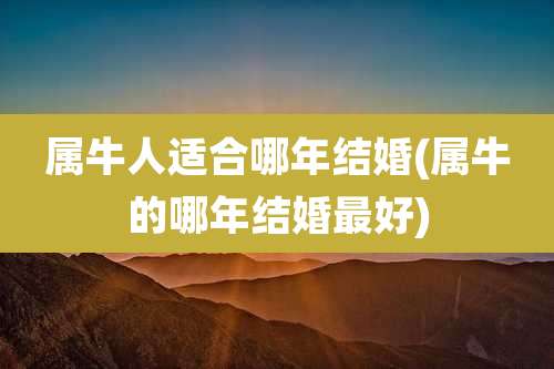 属牛人适合哪年结婚(属牛的哪年结婚最好)