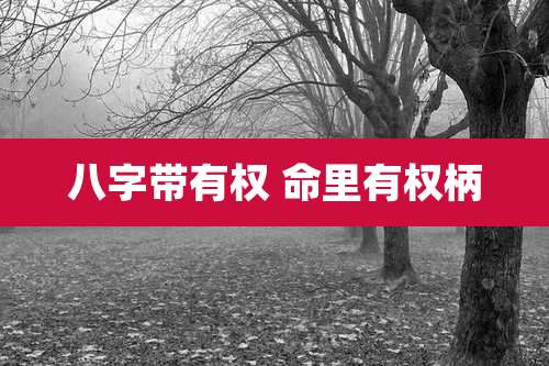 八字带有权 命里有权柄
