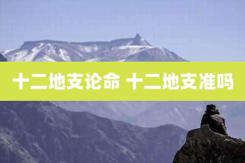 十二地支论命 十二地支准吗