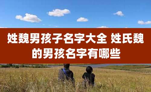 姓魏男孩子名字大全 姓氏魏的男孩名字有哪些