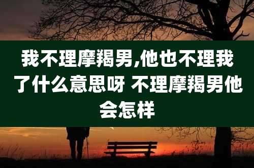 我不理摩羯男,他也不理我了什么意思呀 不理摩羯男他会怎样