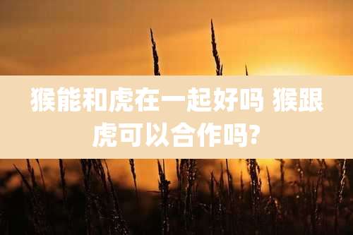 猴能和虎在一起好吗 猴跟虎可以合作吗?