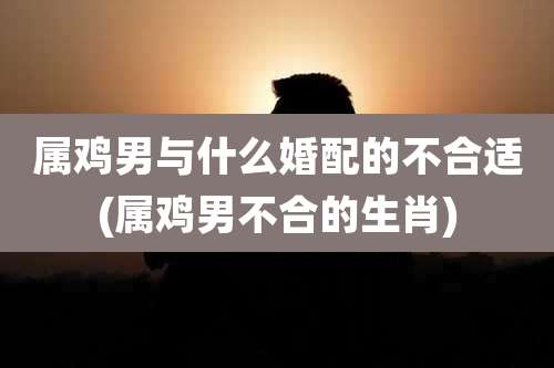 属鸡男与什么婚配的不合适(属鸡男不合的生肖)