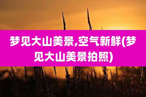 梦见大山美景,空气新鲜(梦见大山美景拍照)