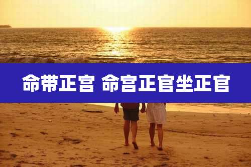 命带正宫 命宫正官坐正官