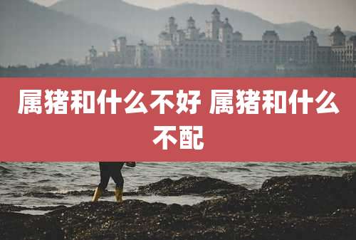 属猪和什么不好 属猪和什么不配