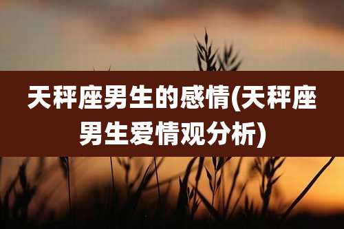 天秤座男生的感情(天秤座男生爱情观分析)