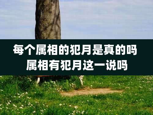 每个属相的犯月是真的吗 属相有犯月这一说吗