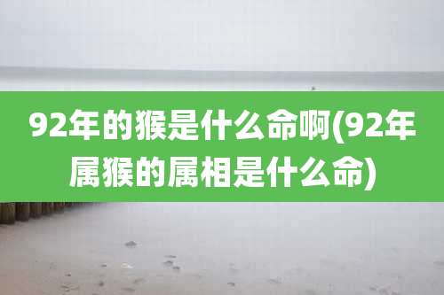 92年的猴是什么命啊(92年属猴的属相是什么命)