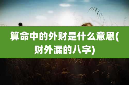 算命中的外财是什么意思(财外漏的八字)