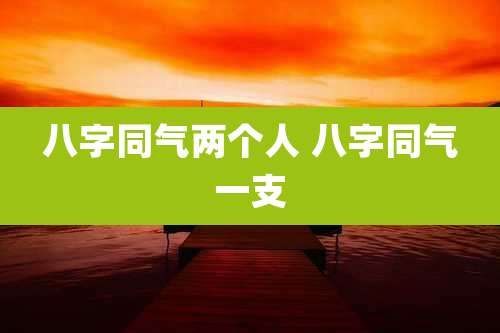 八字同气两个人 八字同气一支