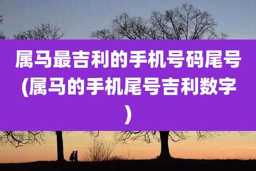 属马最吉利的手机号码尾号(属马的手机尾号吉利数字)