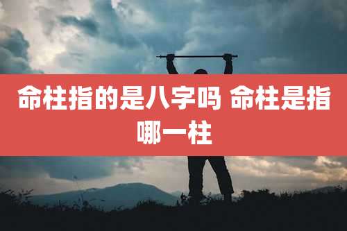 命柱指的是八字吗 命柱是指哪一柱