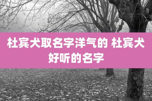 杜宾犬取名字洋气的 杜宾犬好听的名字