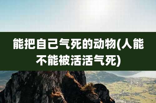 能把自己气死的动物(人能不能被活活气死)
