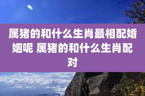 属猪的和什么生肖最相配婚姻呢 属猪的和什么生肖配对