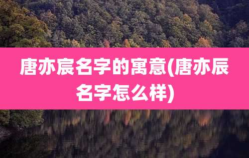唐亦宸名字的寓意(唐亦辰名字怎么样)